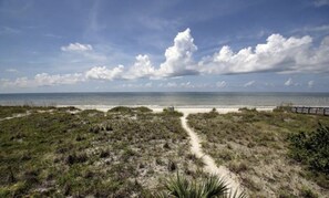 Un sentier qui longe la plage et mène à l’océan, avec des dunes et une végétation clairsemée.