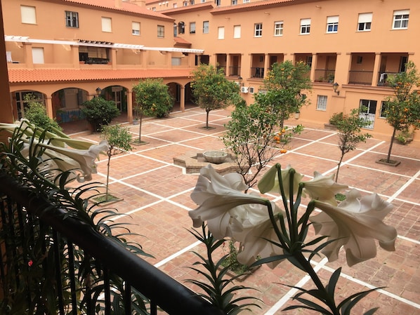 Terrein van de accommodatie