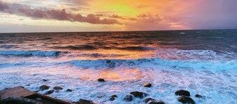 Nature's Backyard Ocean Getaway