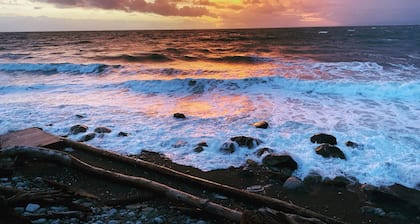 Nature's Backyard Ocean Getaway