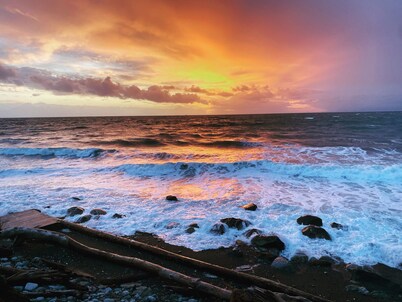 Nature's Backyard Ocean Getaway