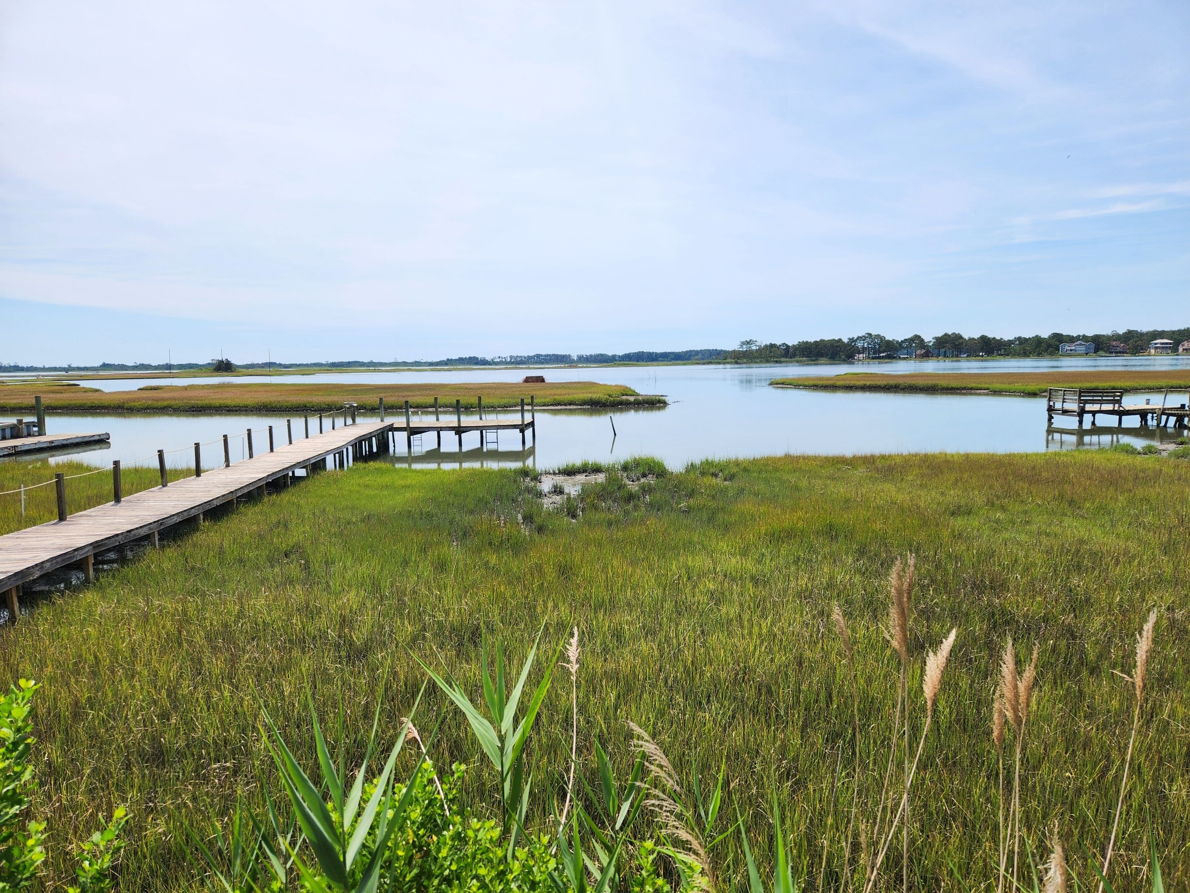 A waterfront view with wooden docks and grassy areas.