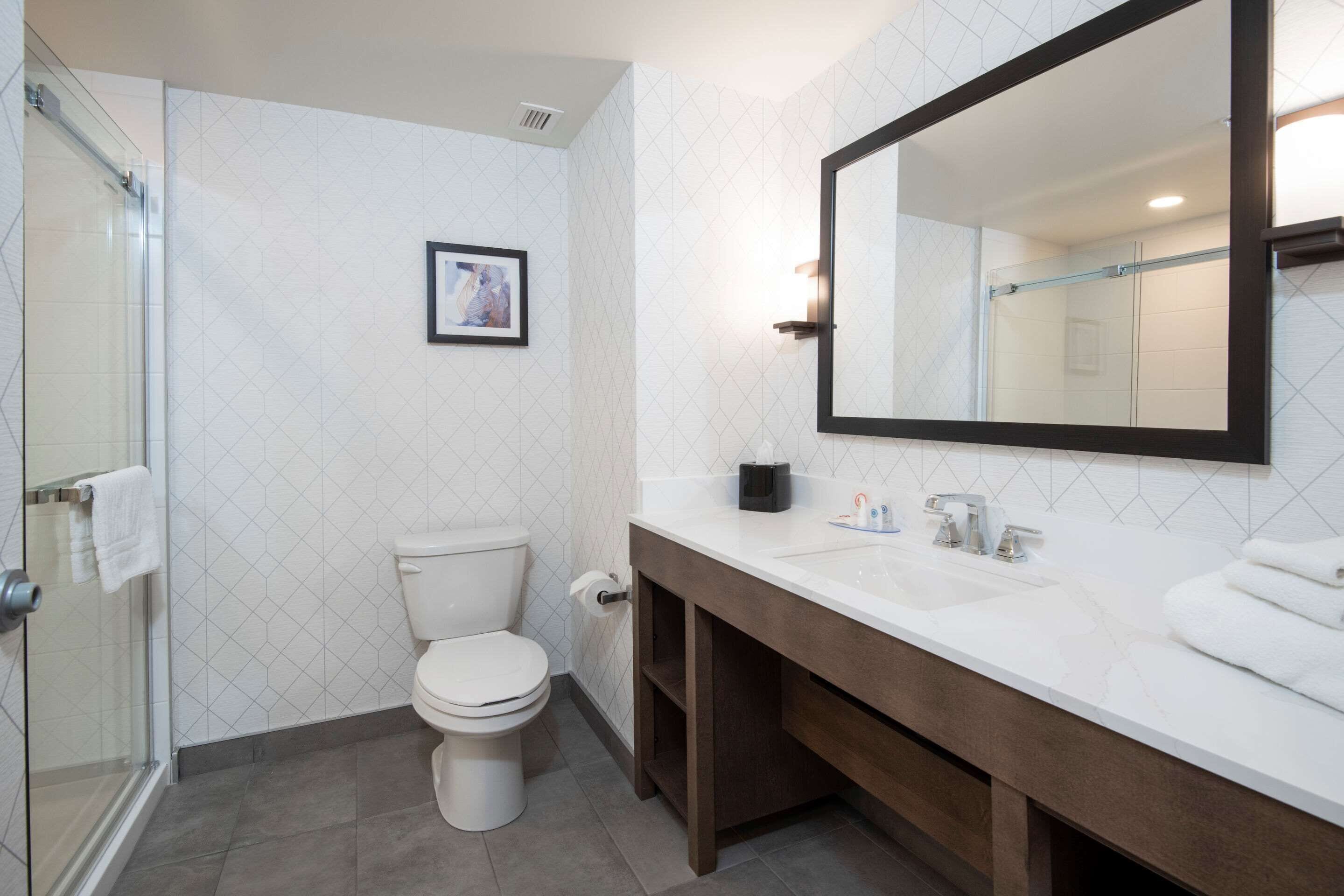 suite, 1 king bed, non smoking | desk, iron/ironing board, free wifi