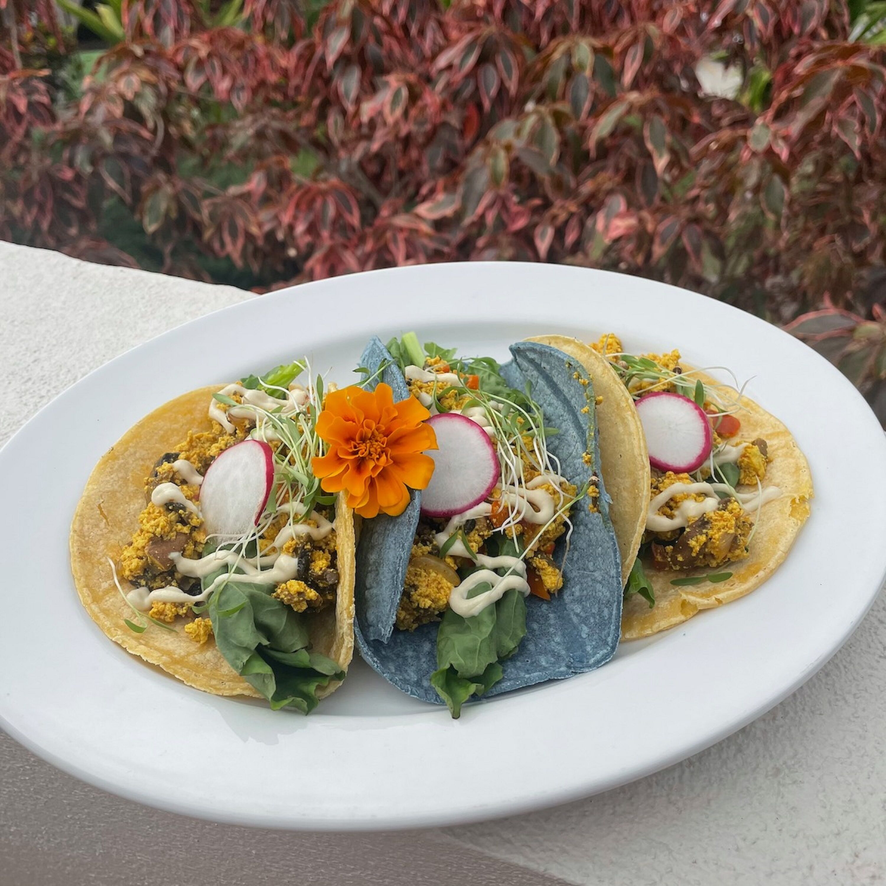 A plate of tacos with various toppings and a flower on a white plate.