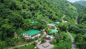 A lush, green landscape with a cluster of buildings featuring green roofs, surrounded by dense forest. - Casa Grande Mountain Retreat - Adults Only (Utuado)