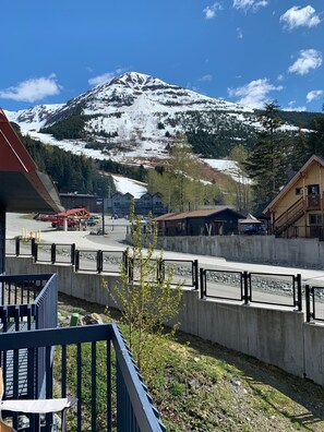 Terrain de l’hébergement 