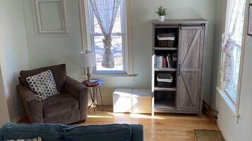 TV connectée, cheminée, lecteur de DVD, livres