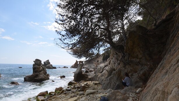 A rocky beach with large boulders and a tree on the right. - Nice house with private pool and barbacue (Vidreres)