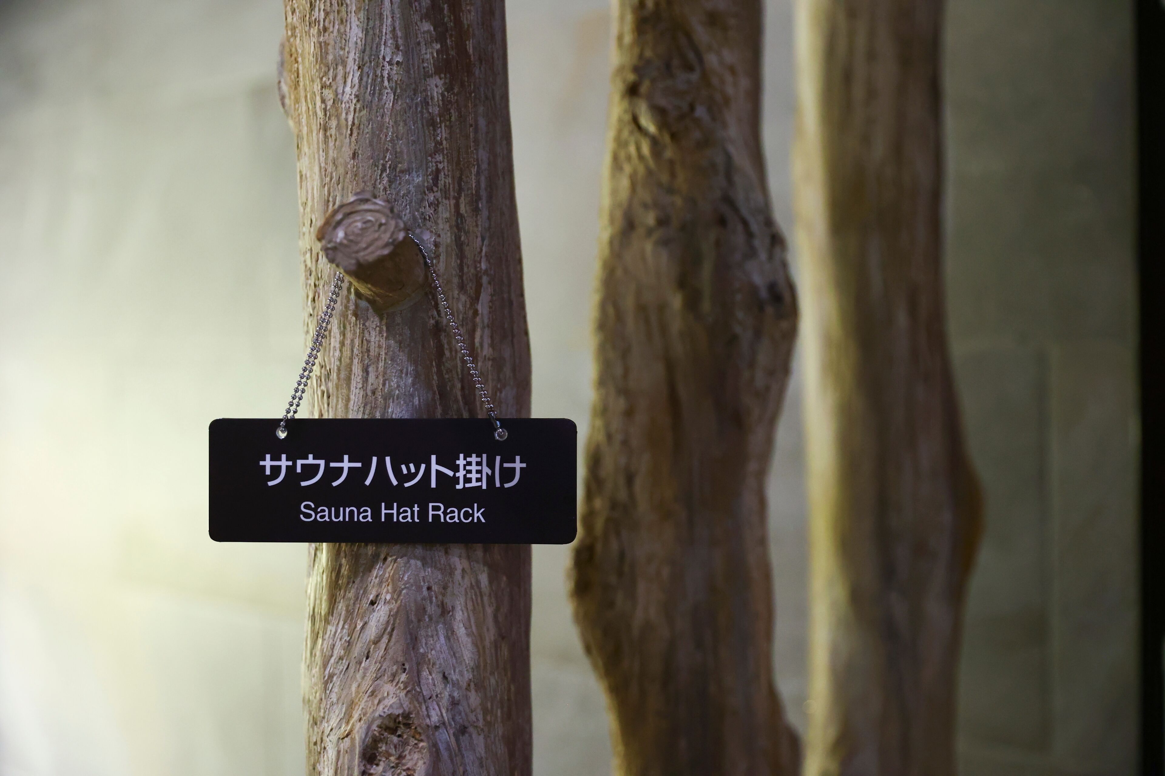 sauna, hot springs/mineral springs