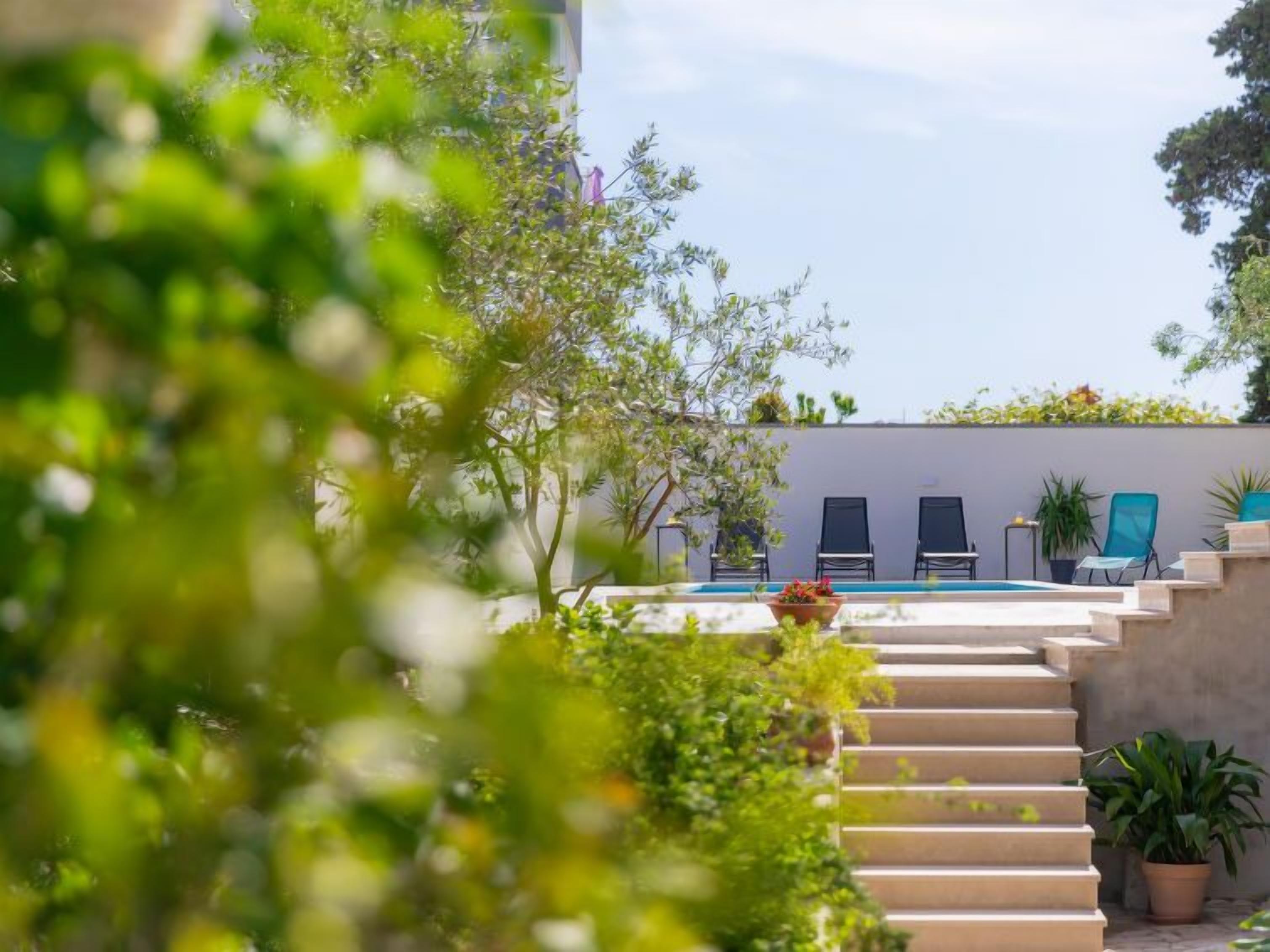 Zona de piscina con escalones que bajan al agua, rodeada de follaje y plantas en macetas.