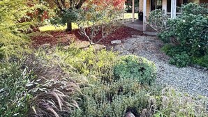 A garden with a variety of plants and a building with a red roof. - Twin Gums: Large family home, beautiful gardens on banks of Denmark River (Denmark)