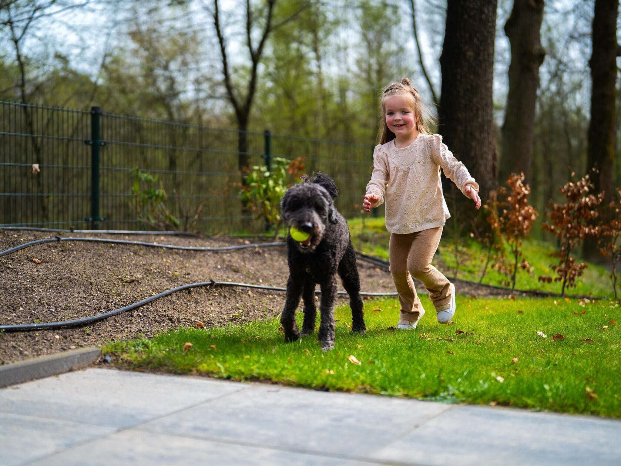 A child and a dog in a park with a fence and trees in the background.