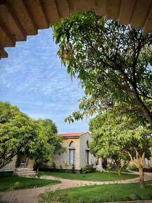 Property grounds - The Postcard Gir Wildlife Sanctuary (Talala)