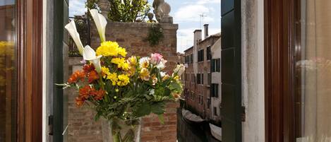 Vistas desde el alojamiento