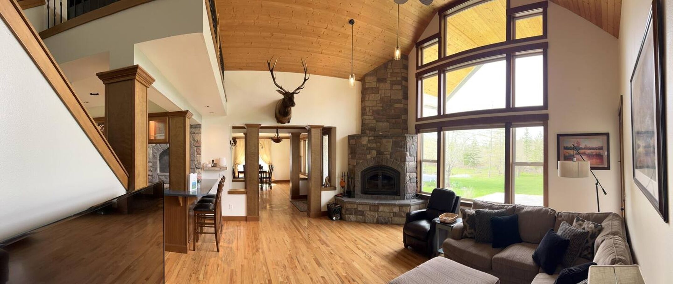 Télévision, cheminée, jeux vidéo, lecteur de DVD