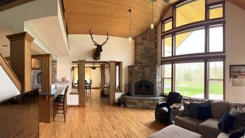 Télévision, cheminée, jeux vidéo, lecteur de DVD