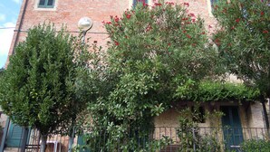 House, 2 Bedrooms, Smoking | Exterior - Duplex Apartment for 4 People (Palaia)