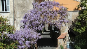 A narrow alleyway with a stone building, a hanging purple flower display, and a small staircase leading down. - The Window on the Cathedral - Studio Apartment (Orvieto)