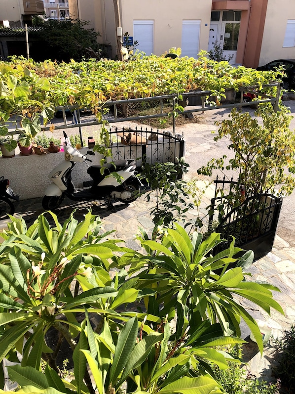 Balcony view