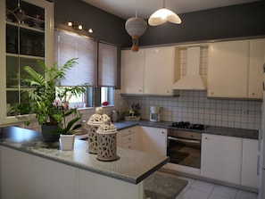 Comfort Apartment, 3 Bedrooms | Private kitchen