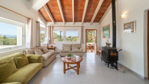 Un salon spacieux avec un plafond haut, une grande fenêtre, un canapé, une table basse et un poêle à bois.