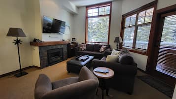 TV, fireplace, DVD player