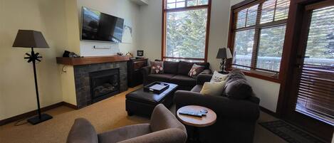 TV, fireplace, DVD player