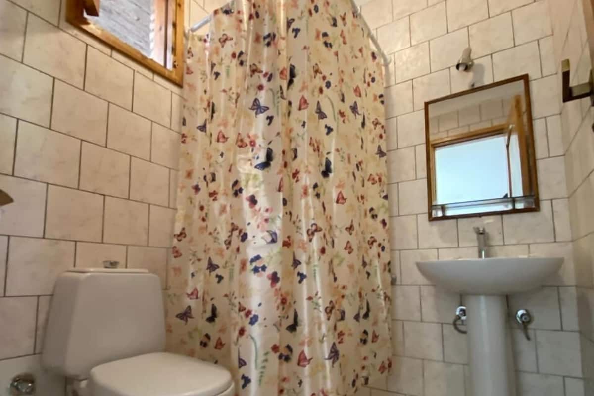 A bathroom with a toilet, a sink, and a shower curtain with a floral pattern.