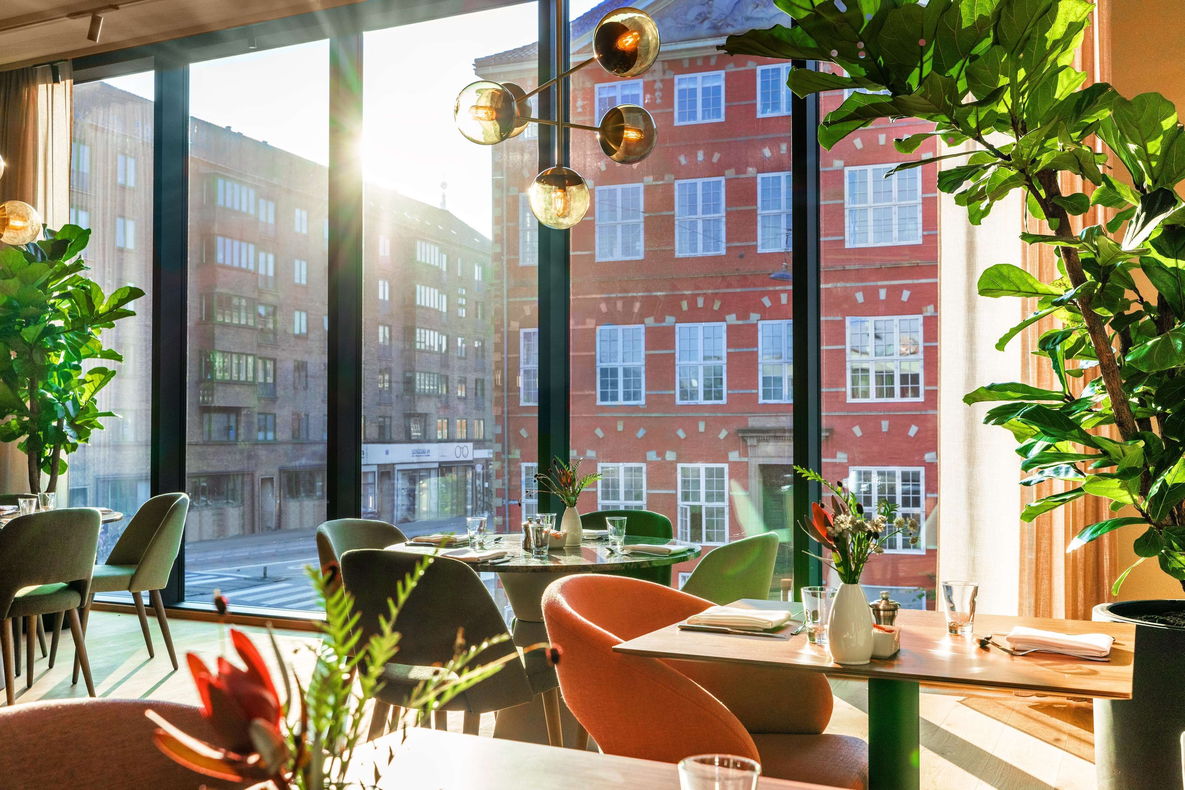 2 restauranter, der serverer frokost, aftensmad og brunch