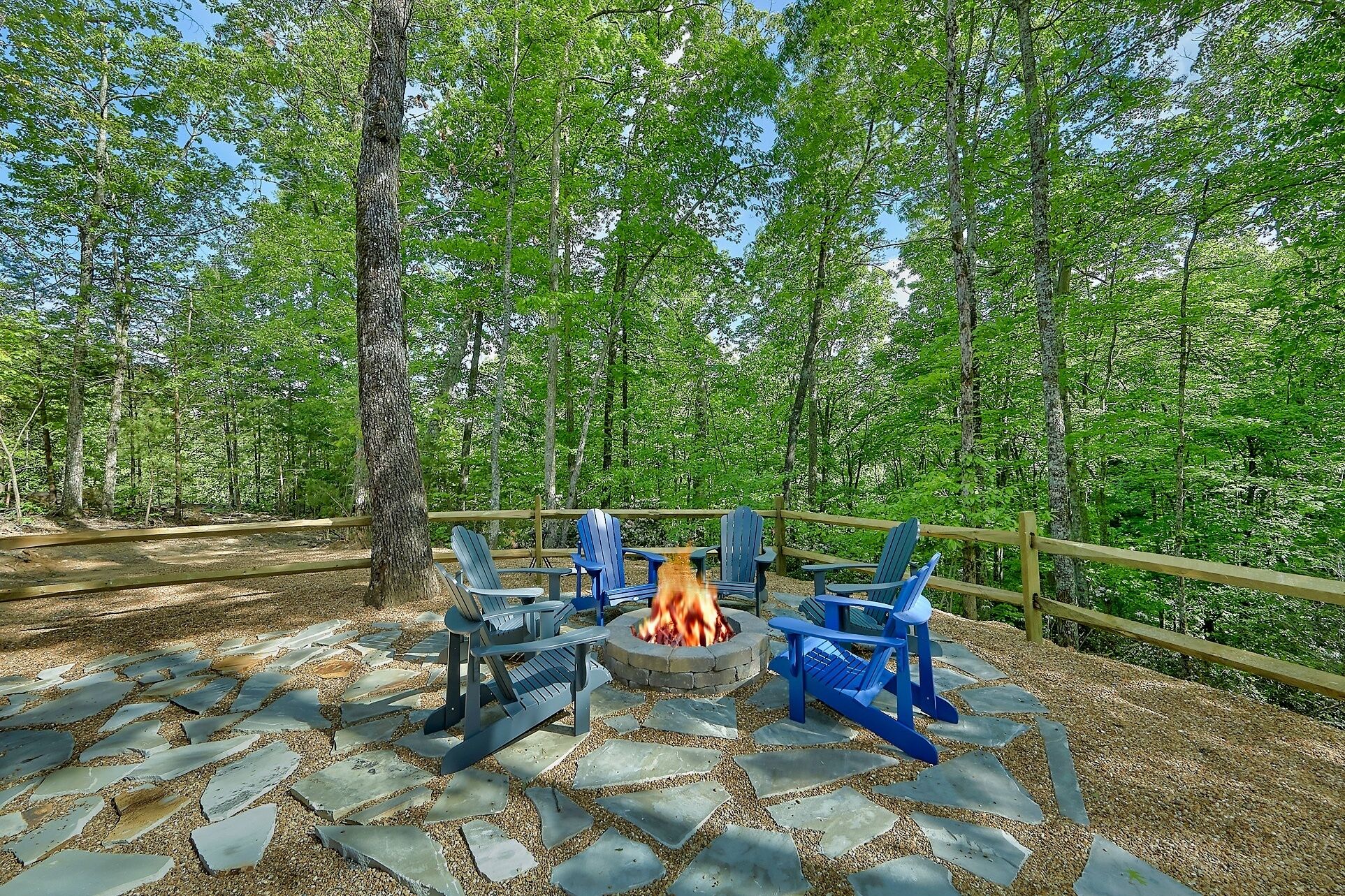 A fire pit with chairs in a forested area.