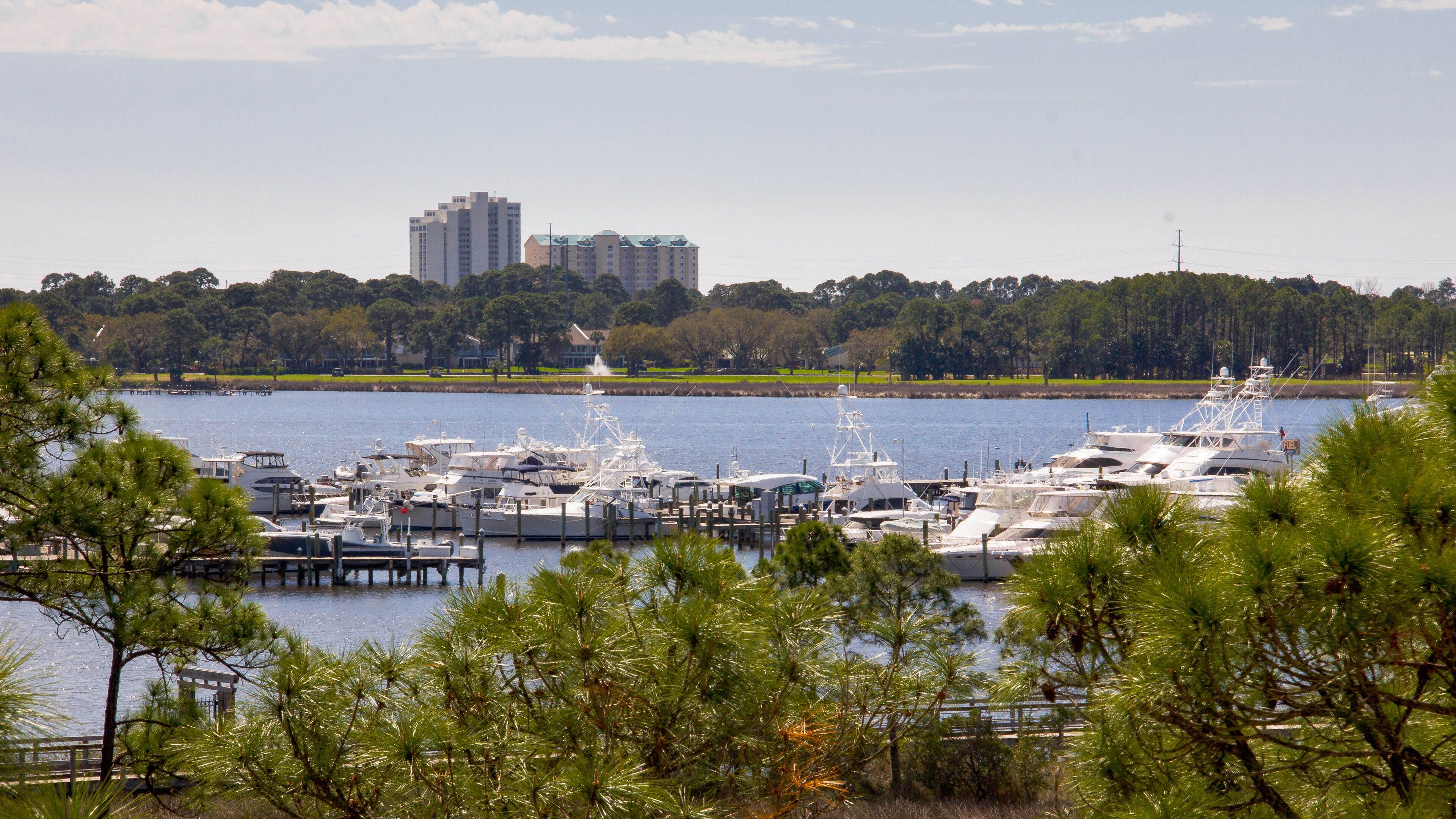 A marina with multiple yachts docked, surrounded by greenery and a distant building complex.