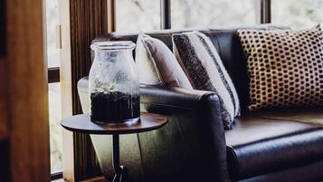 TV, fireplace, books, stereo