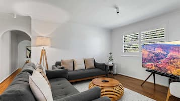 TV, fireplace, books, stereo