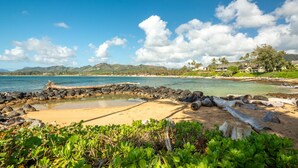 A beach with clear water, a rocky shoreline, and lush greenery. - Walkable to town and Oceanfront with A/C! (Kapaa)