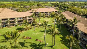 A resort with multiple buildings, a well-maintained lawn, and palm trees. - Walkable to town and Oceanfront with A/C! (Kapaa)