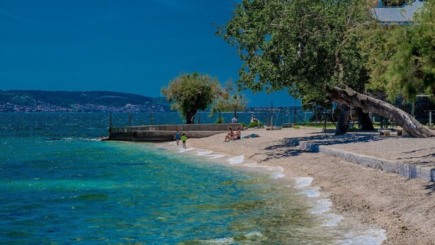 A beach with clear water, a tree, and a concrete barrier.