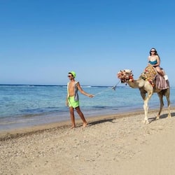 Plage privée, parasols, serviettes de plage, beach-volley