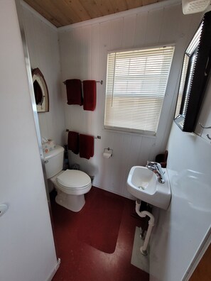 Shower, hair dryer, toilet paper