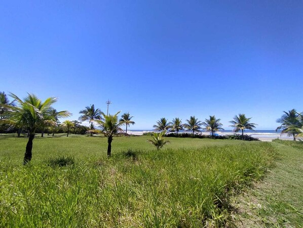 Enjoy a serene beachfront setting with a lush grassy area and palm trees.