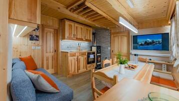 Smart TV, fireplace, books, stereo