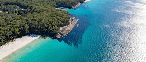 Vista aérea de una zona costera con playa, denso bosque y aguas turquesas cristalinas.