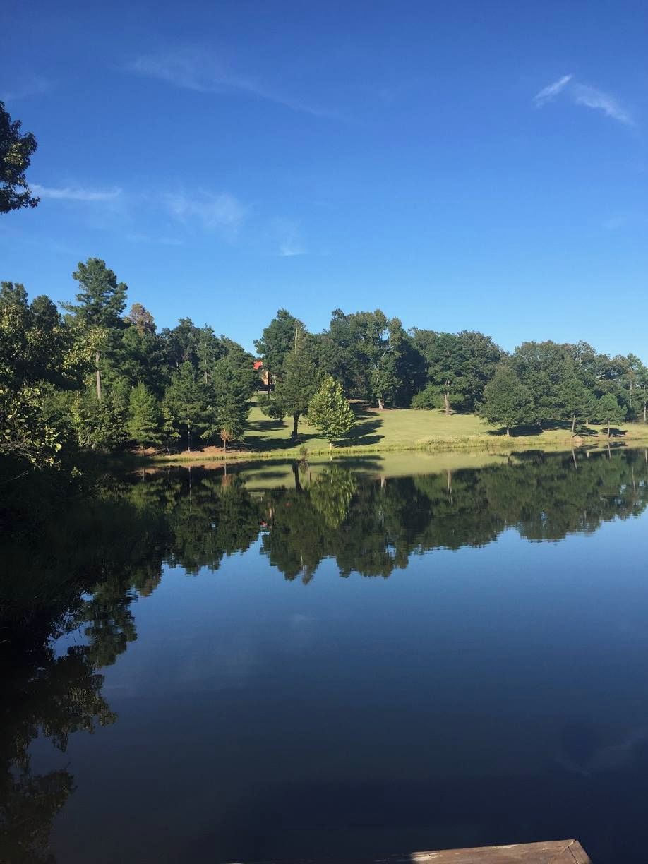 Un lago tranquilo que refleja árboles y un cielo despejado.
