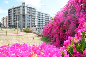 Área da propriedade