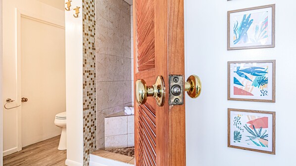 Ein Badezimmer mit Dusche, Toilette und einer Holztür mit Messinggriffen.
