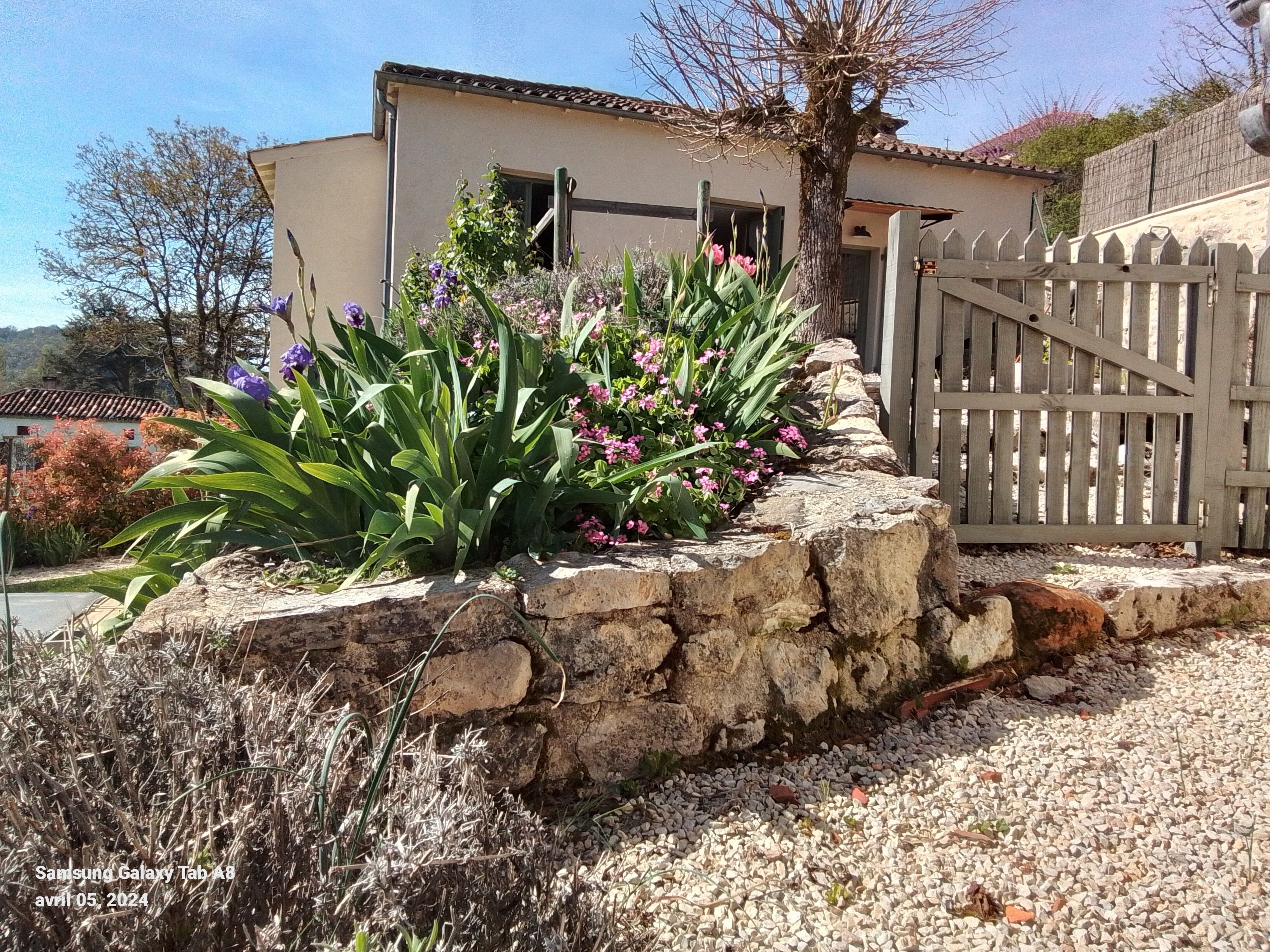 A stone wall with plants and a wooden gate.