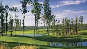 Een golfbaan met een vijver, bomen en een heldere lucht.
