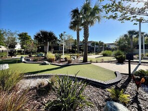 A landscaped garden with palm trees, a curved pathway, and a mailbox.