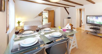 Holiday apartment Steckborn for 1 - 5 persons with 2 bedrooms - Holiday apartment