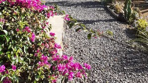 A white villa with a patio area, surrounded by lush greenery and pink bougainvillea flowers. - Simply put...vacation (Frontera)