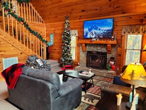 Smart TV, fireplace, video games, books